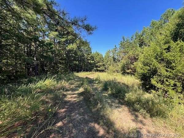 101 Acres of Land for Sale in Kinta, Oklahoma