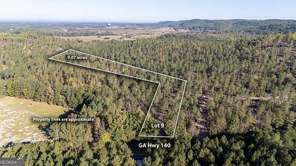 9 Acres of Residential Land for Sale in Rydal, Georgia