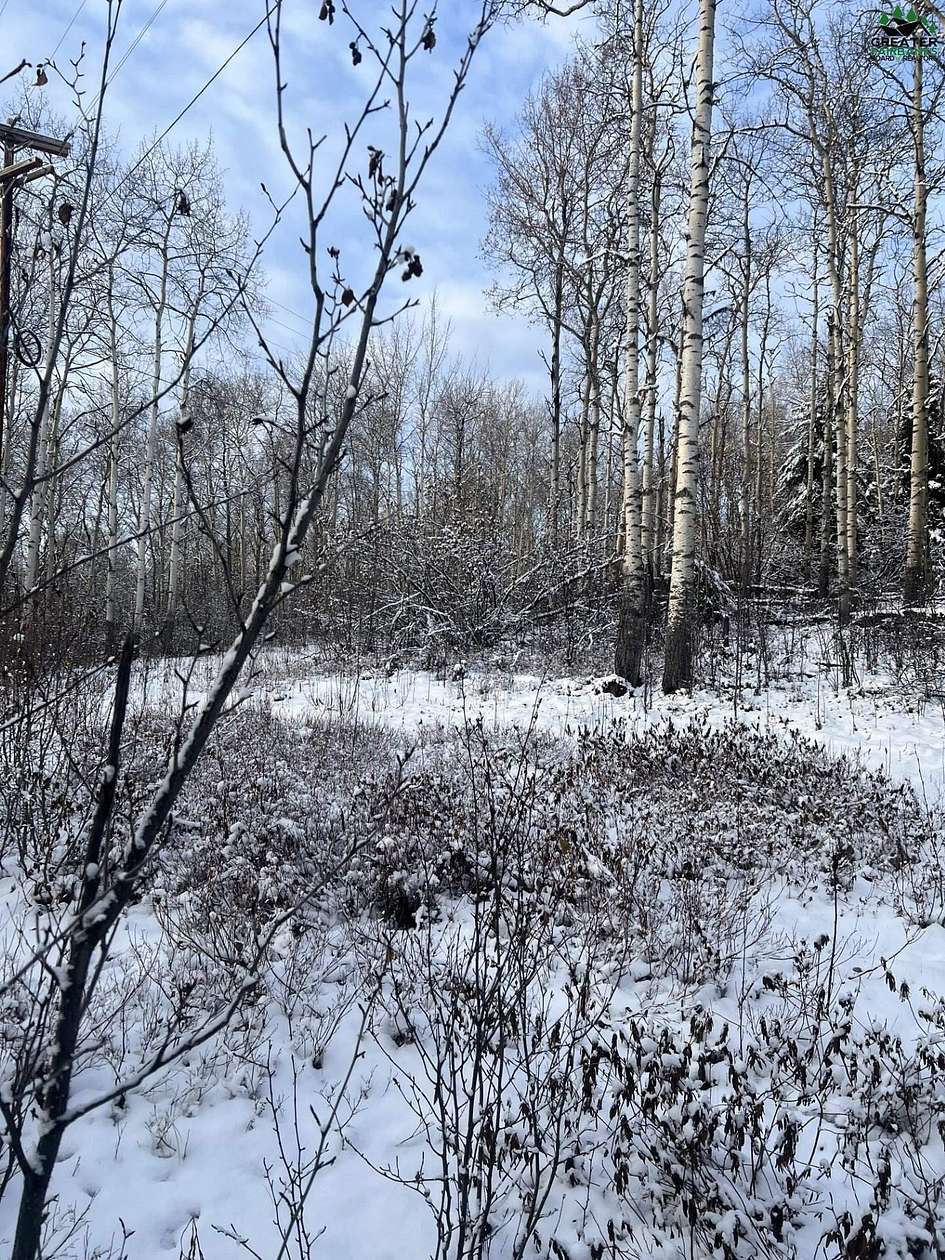 29.1 Acres of Land for Sale in Fairbanks, Alaska