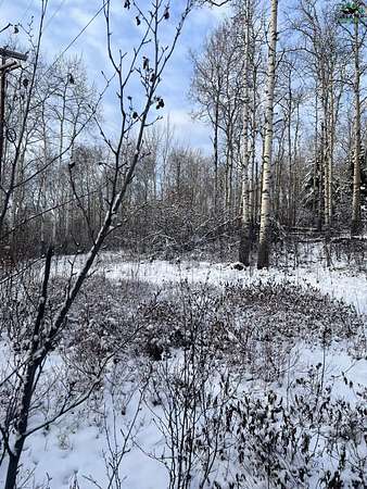 29.1 Acres of Land for Sale in Fairbanks, Alaska