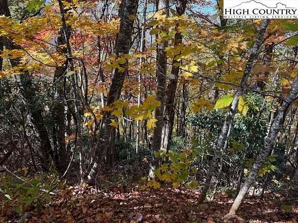 1.1 Acres of Residential Land for Sale in Creston, North Carolina