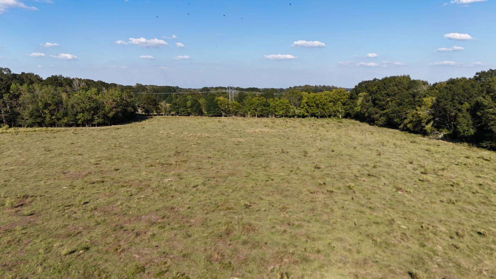 60 Acres of Land for Sale in Grand Prairie, Louisiana