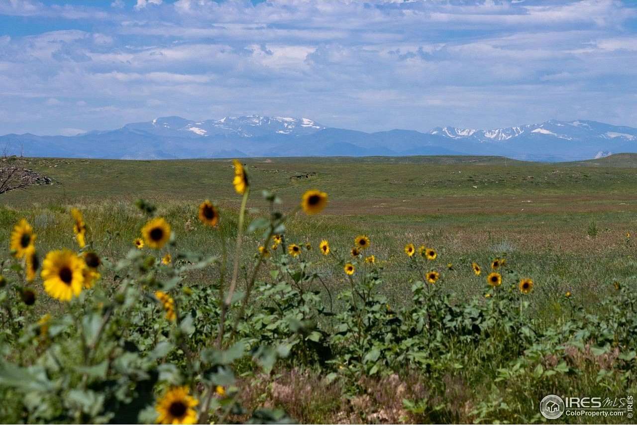 37.4 Acres of Recreational Land for Sale in Carr, Colorado