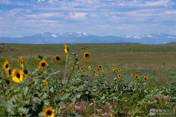 37.4 Acres of Recreational Land for Sale in Carr, Colorado