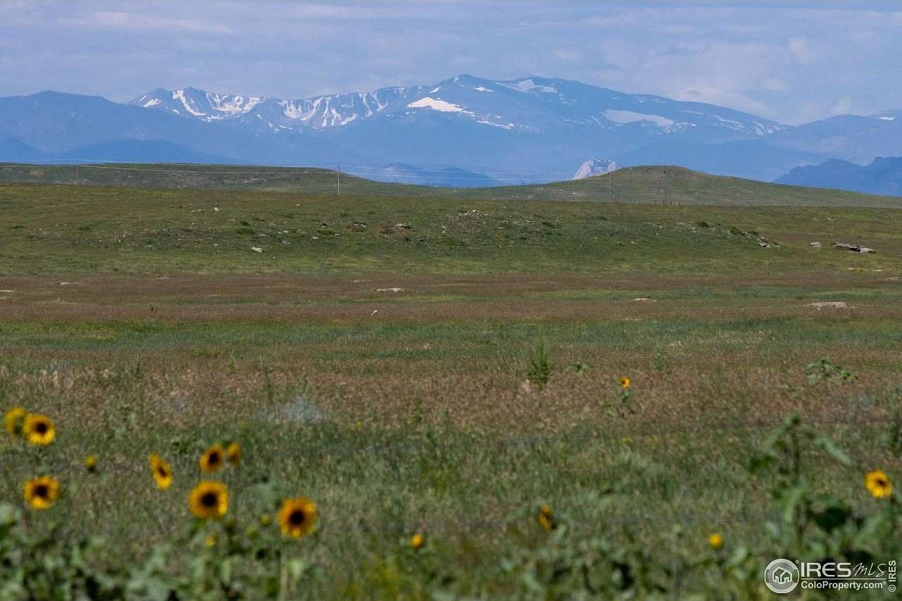 79.8 Acres of Recreational & Residential Land for Sale in Carr, Colorado