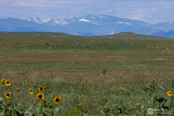 79.8 Acres of Recreational & Residential Land for Sale in Carr, Colorado