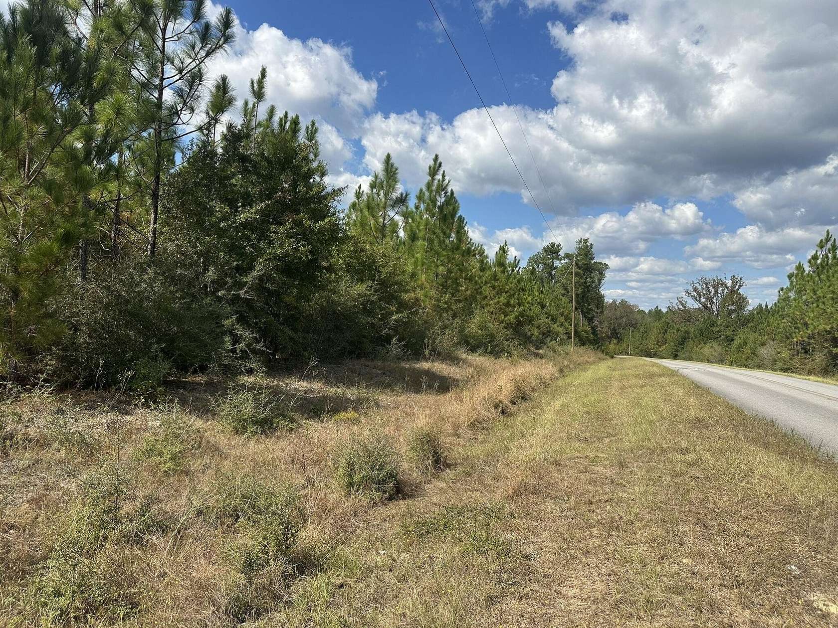 28.2 Acres of Land for Sale in Laurel Hill, Florida