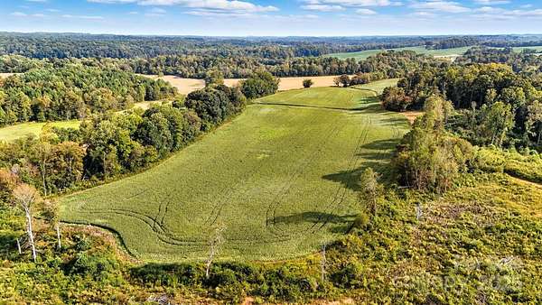 66.8 Acres of Recreational Land for Sale in Hamptonville, North Carolina