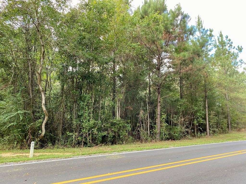 1 Acre of Residential Land for Sale in Picayune, Mississippi