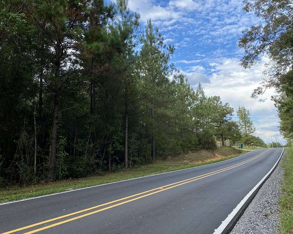 1 Acre of Residential Land for Sale in Picayune, Mississippi