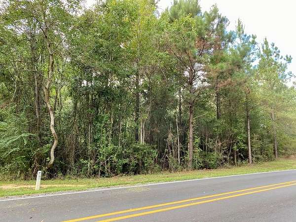 1 Acre of Residential Land for Sale in Picayune, Mississippi