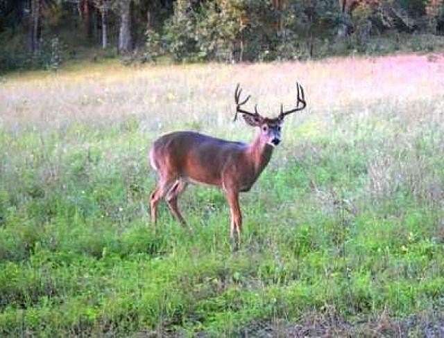 258 Acres of Recreational Land & Farm for Sale in Coloma, Wisconsin