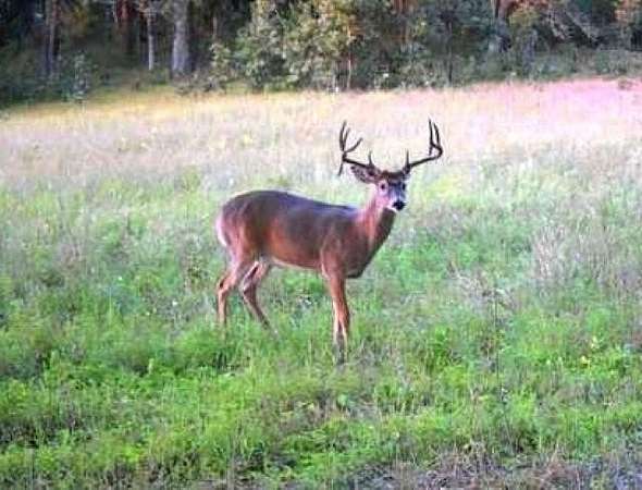 258 Acres of Recreational Land & Farm for Sale in Coloma, Wisconsin