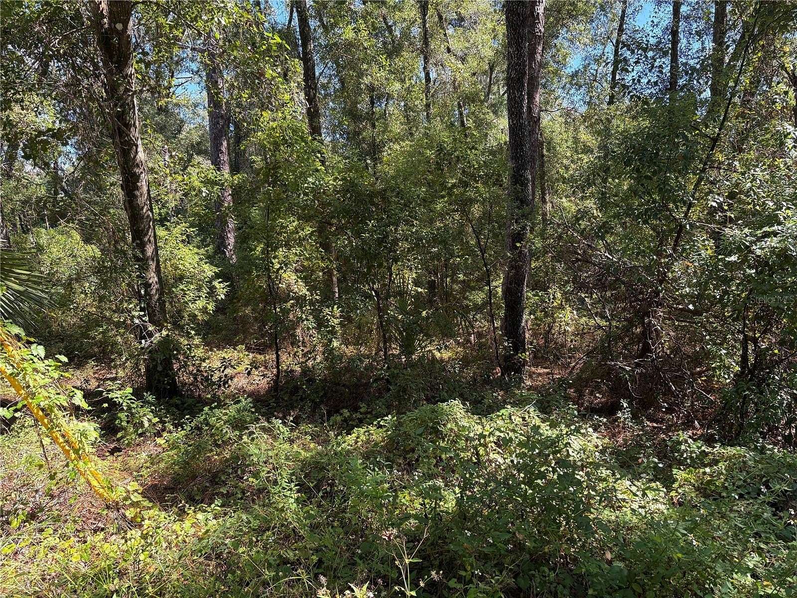 0.33 Acres of Residential Land for Sale in Inverness, Florida
