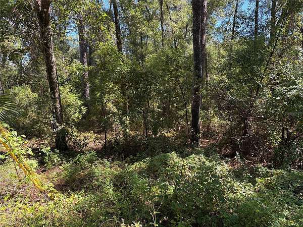 0.33 Acres of Residential Land for Sale in Inverness, Florida
