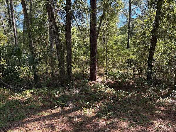 0.33 Acres of Residential Land for Sale in Inverness, Florida