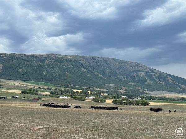 2 Acres of Land for Sale in Clifton, Idaho