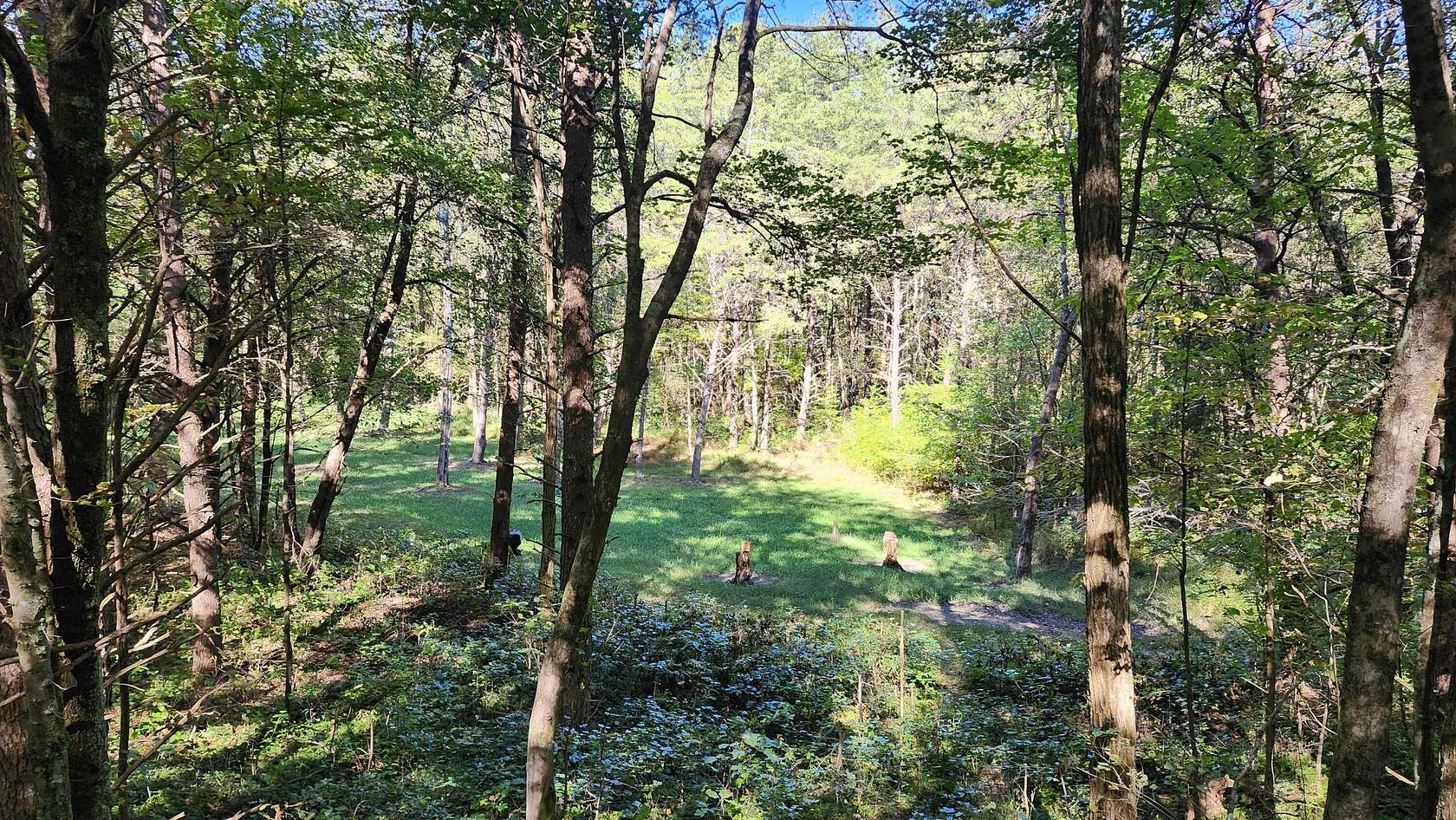 33.5 Acres of Recreational Land for Sale in Tracy City, Tennessee