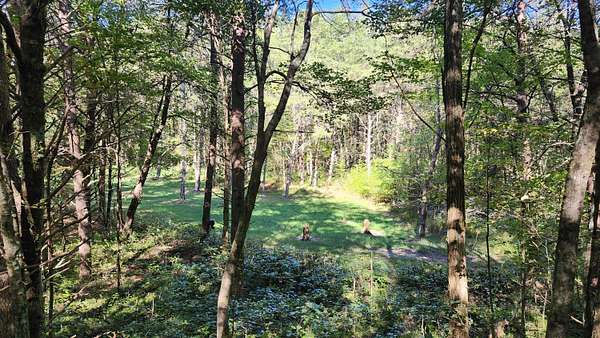 33.5 Acres of Recreational Land for Sale in Tracy City, Tennessee