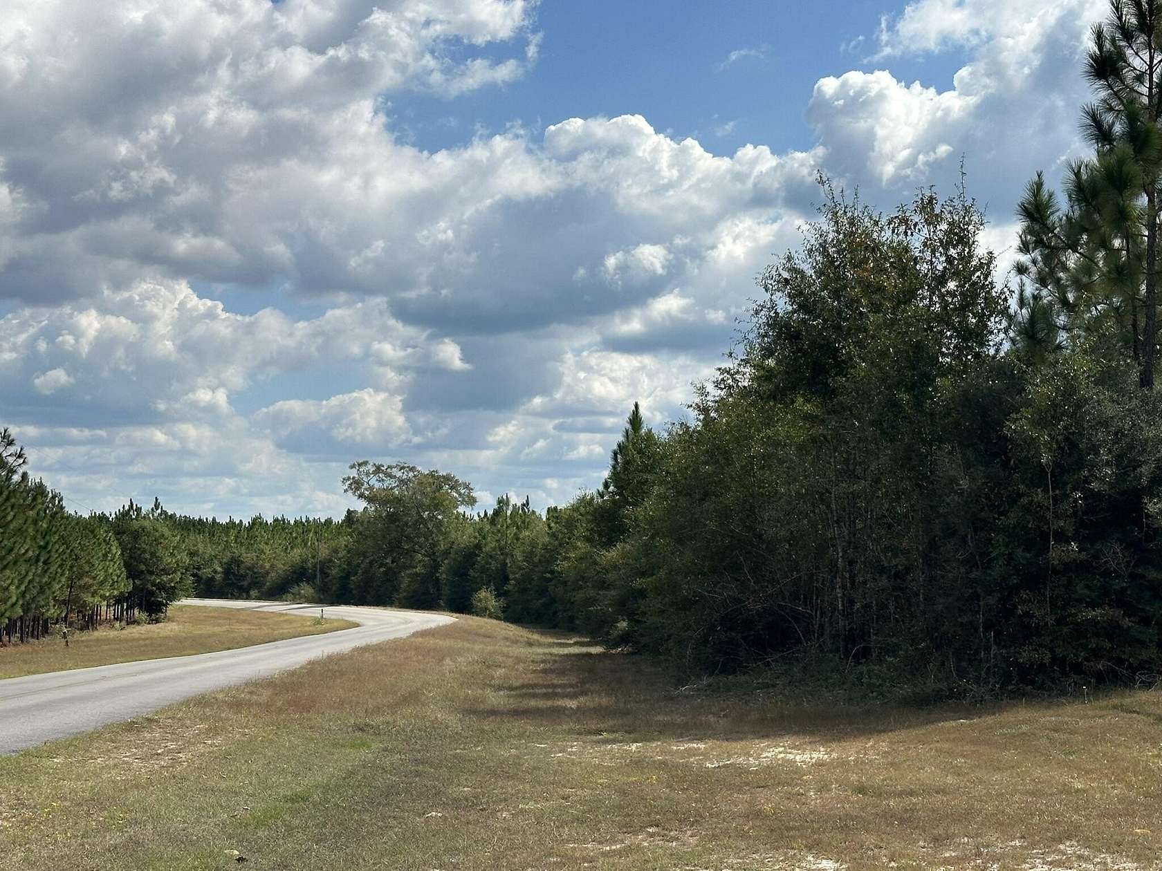 58.3 Acres of Land for Sale in Laurel Hill, Florida