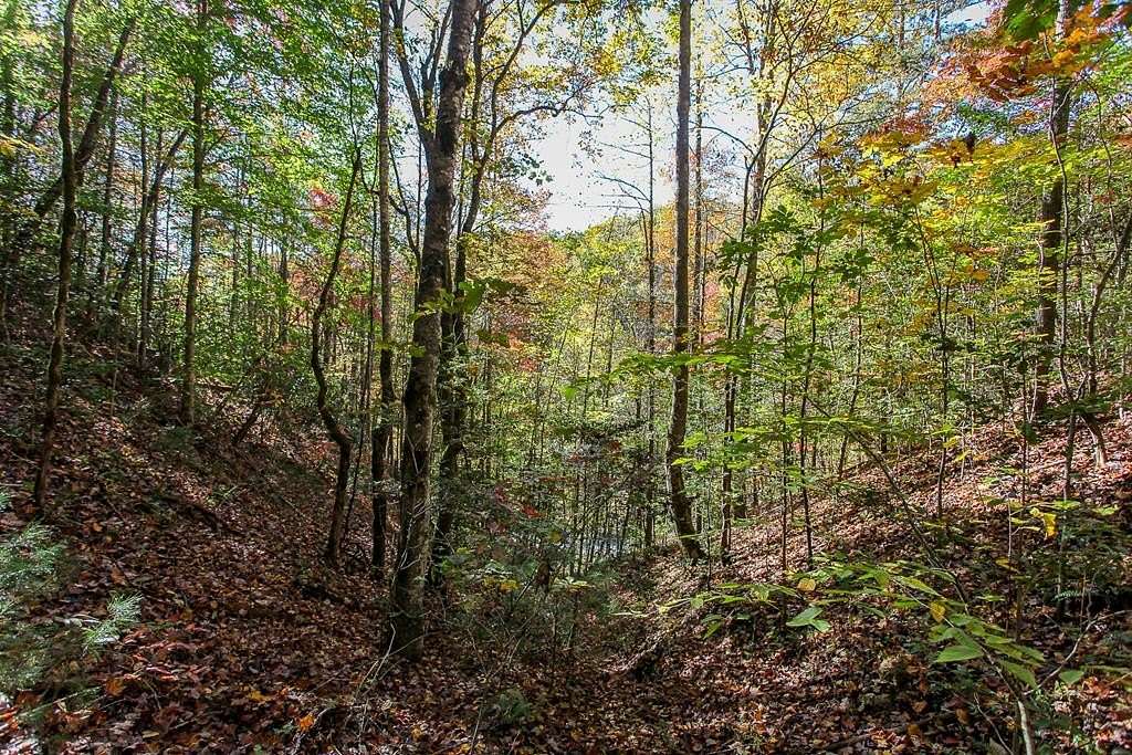 10.6 Acres of Land for Sale in Bryson City, North Carolina