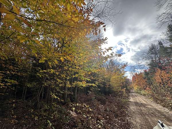 10 Acres of Recreational Land for Sale in Newberry, Michigan