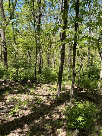 1 Acre of Residential Land for Sale in Brentwood, Tennessee