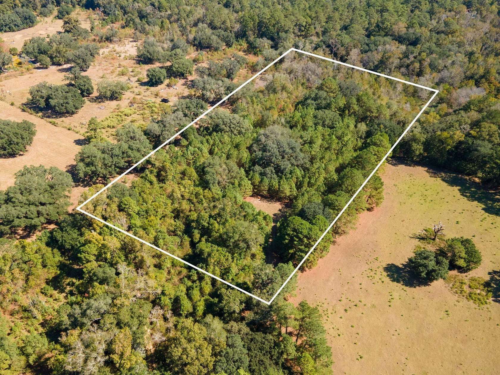 7 Acres of Residential Land for Sale in Tallahassee, Florida