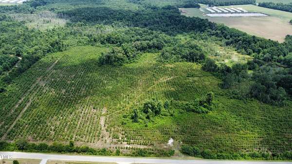 60.6 Acres of Land for Sale in Turkey, North Carolina