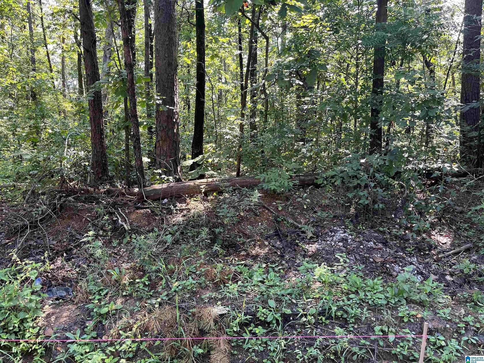 1.39 Acres of Land for Sale in McCalla, Alabama