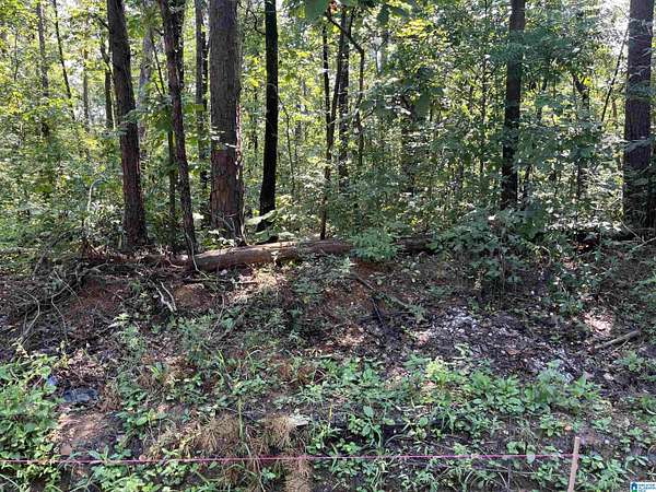 1.39 Acres of Land for Sale in McCalla, Alabama