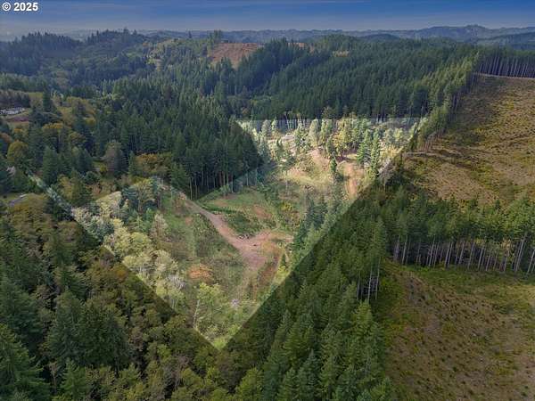 8.72 Acres of Land for Sale in Toledo, Oregon