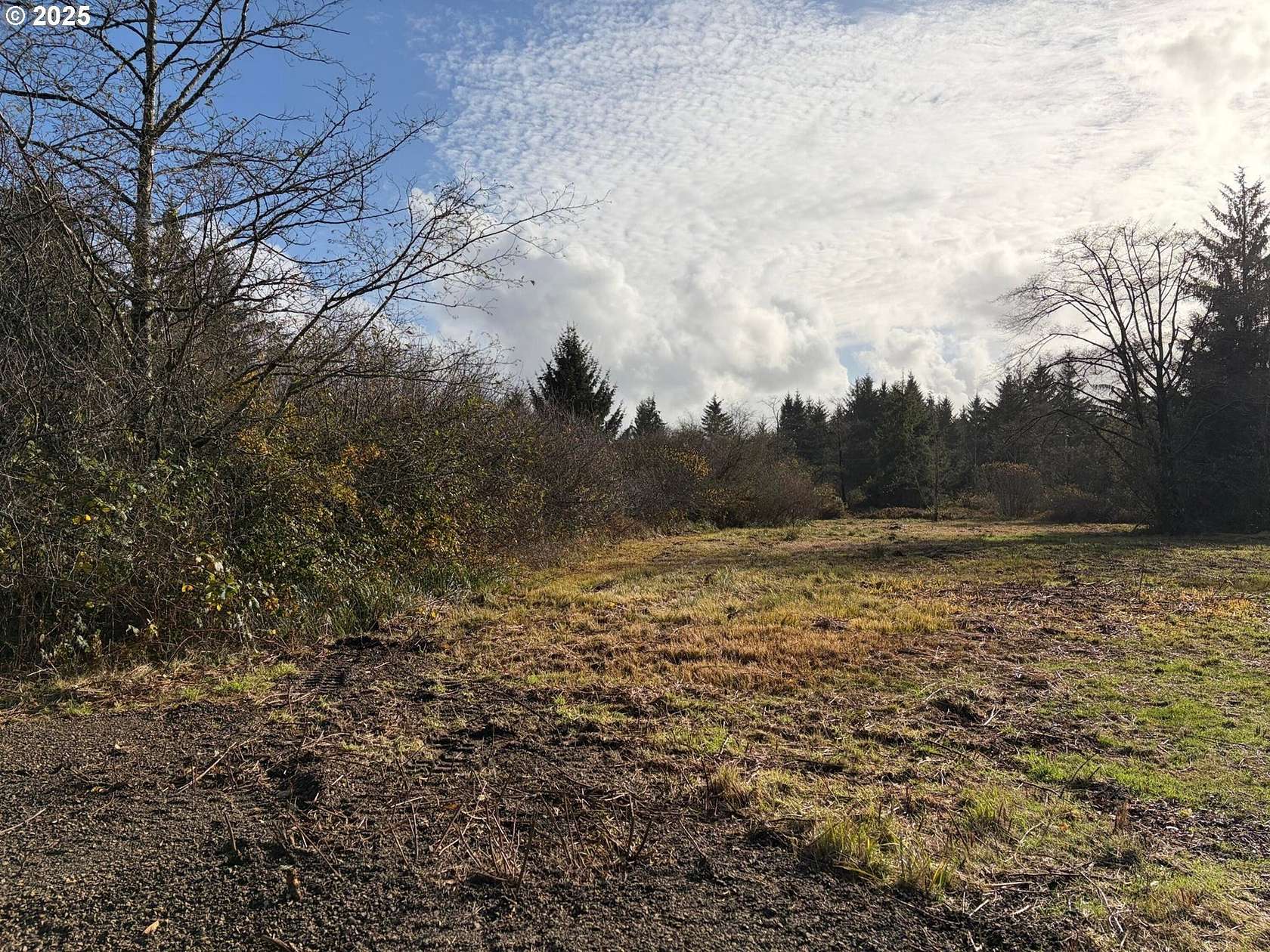 0.65 Acres of Residential Land for Sale in Tillamook, Oregon