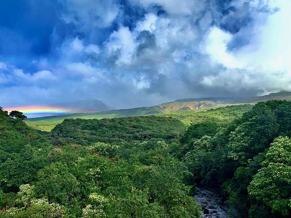 2.19 Acres of Residential Land with Home for Sale in Hana, Hawaii