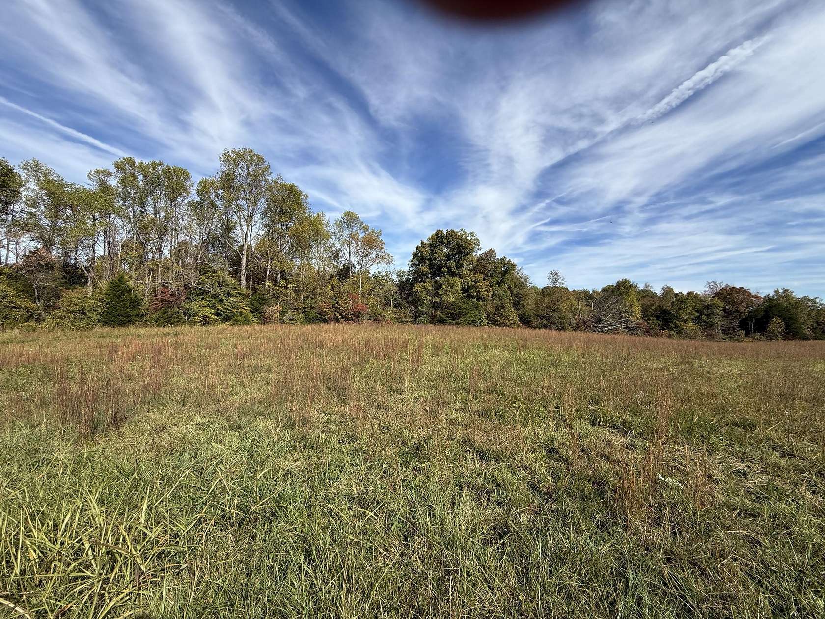 51.4 Acres of Land for Sale in Jamestown, Kentucky