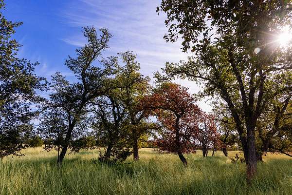 10.2 Acres of Land for Sale in Fredericksburg, Texas