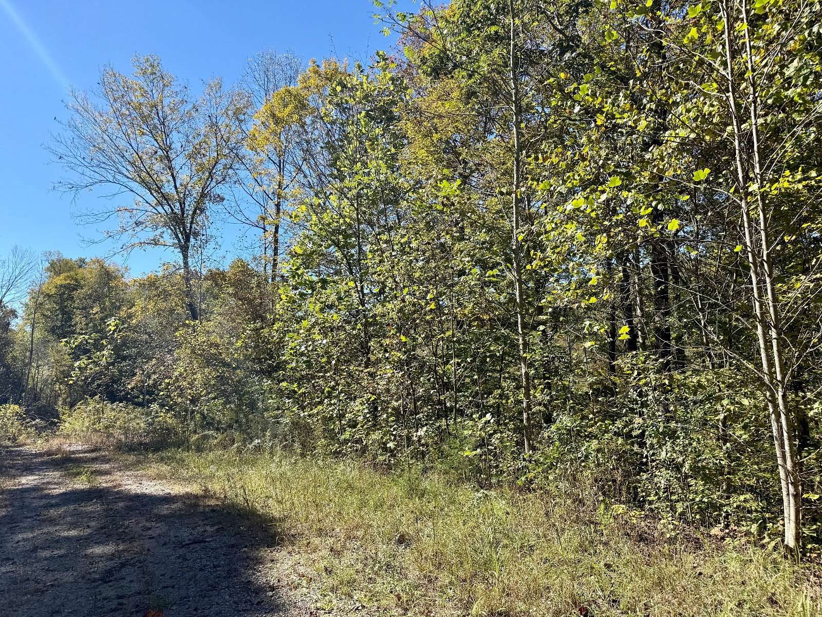 7.39 Acres of Land for Sale in Wilder, Tennessee