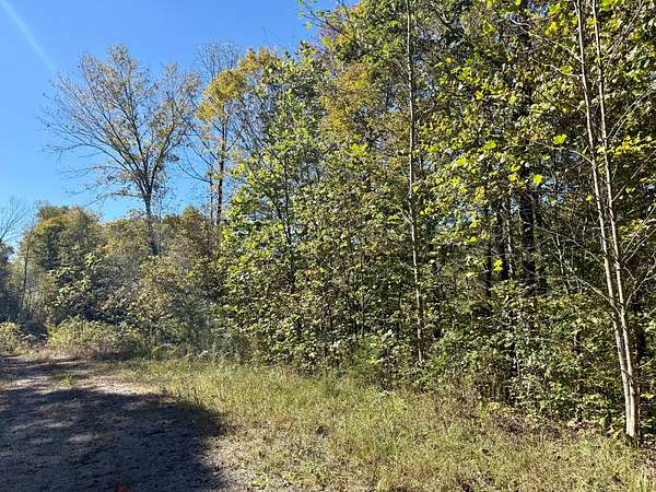 7.39 Acres of Land for Sale in Wilder, Tennessee