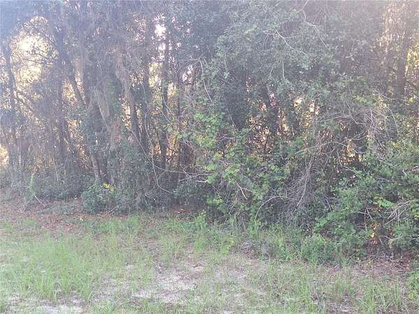 0.17 Acres of Land for Sale in Deltona, Florida