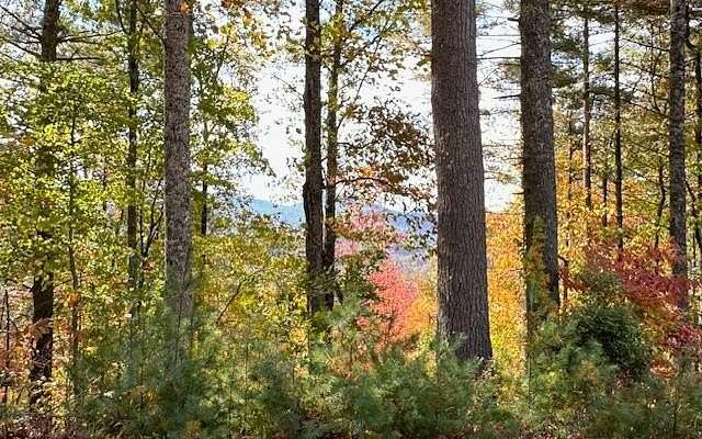 3.67 Acres of Land for Sale in Suches, Georgia