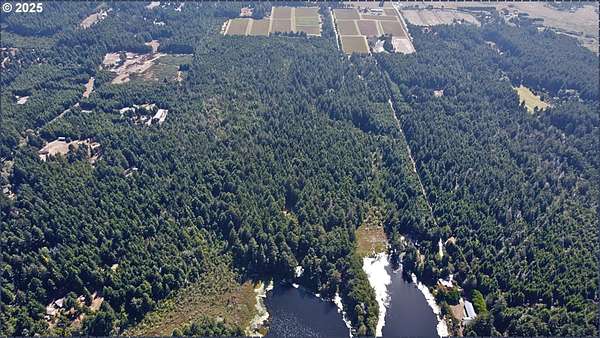 55.6 Acres of Land for Sale in Bandon, Oregon