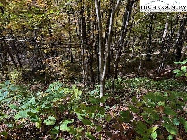 0.48 Acres of Residential Land for Sale in Creston, North Carolina