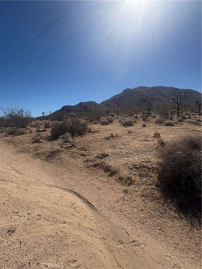 5 Acres of Residential Land for Sale in Joshua Tree, California