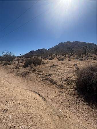 5 Acres of Residential Land for Sale in Joshua Tree, California