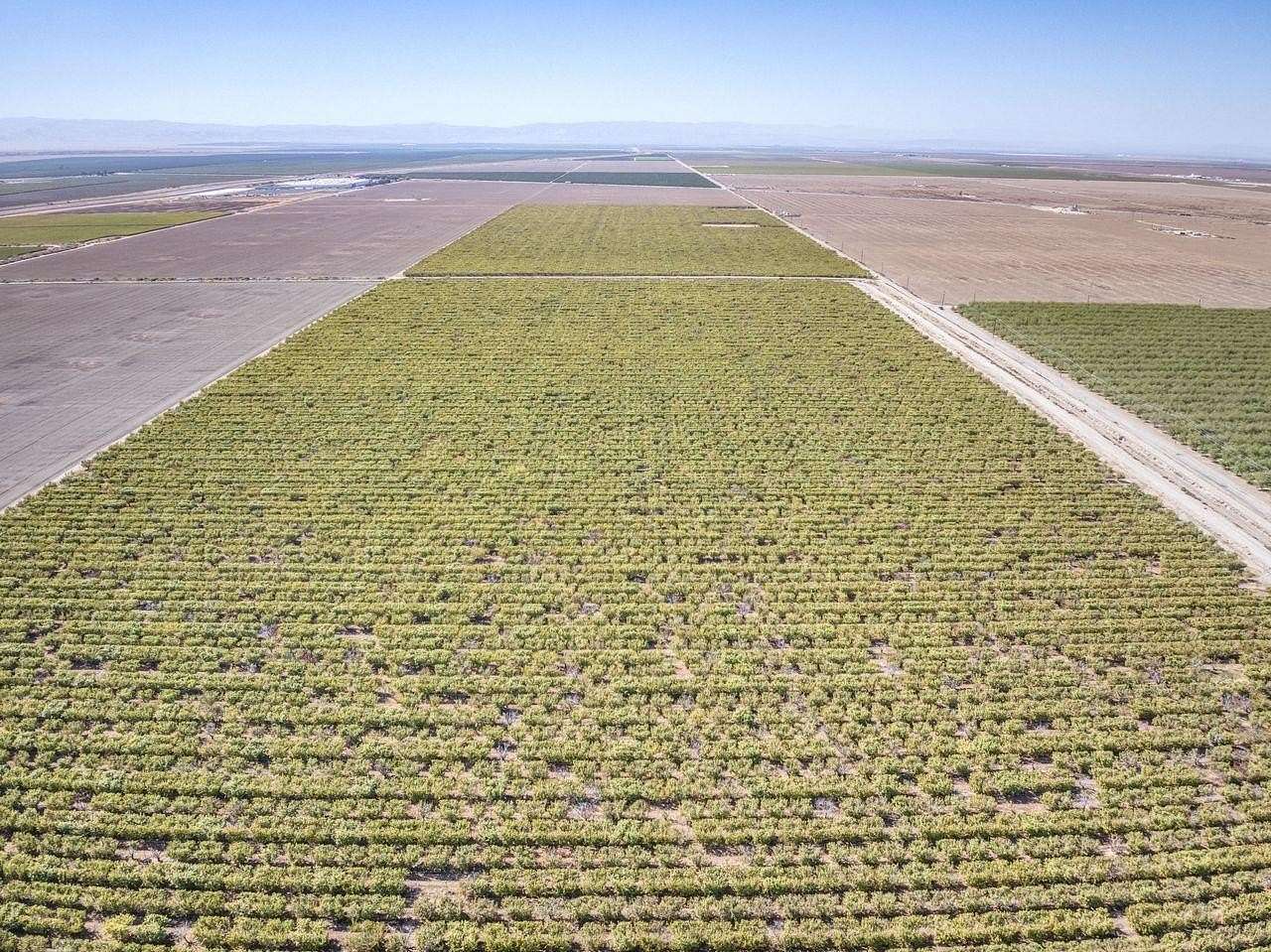 216 Acres of Land for Sale in Bakersfield, California