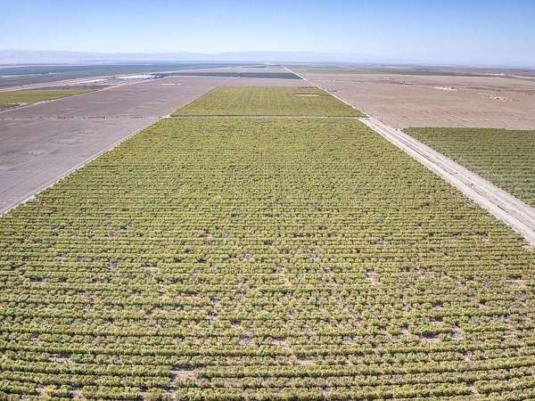 216 Acres of Agricultural Land for Sale in Bakersfield, California