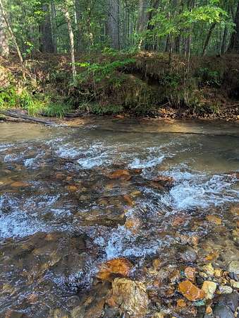 4.8 Acres of Residential Land with Home for Sale in Cherry Log, Georgia