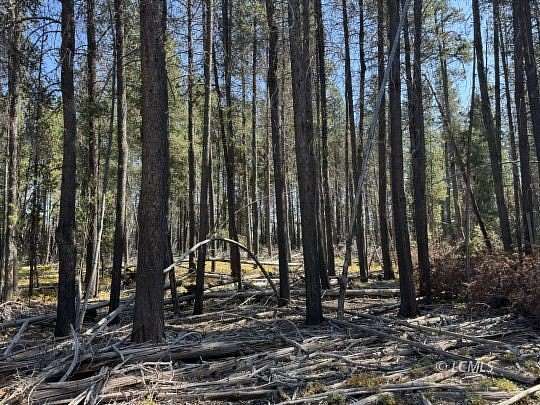 1.23 Acres of Residential Land for Sale in Chiloquin, Oregon