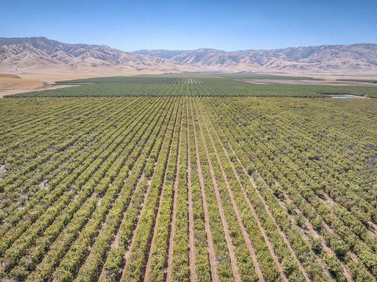 117 Acres of Land for Sale in Arvin, California