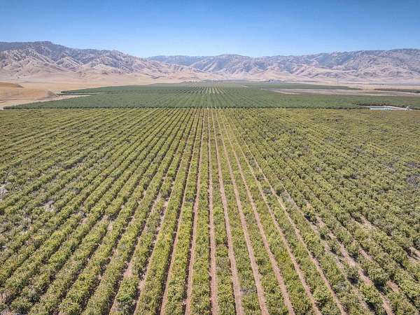 117 Acres of Agricultural Land for Sale in Arvin, California